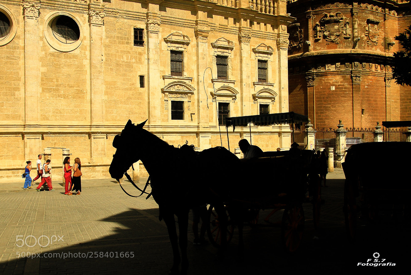 Canon EOS 7D sample photo. Claro y oscuro photography