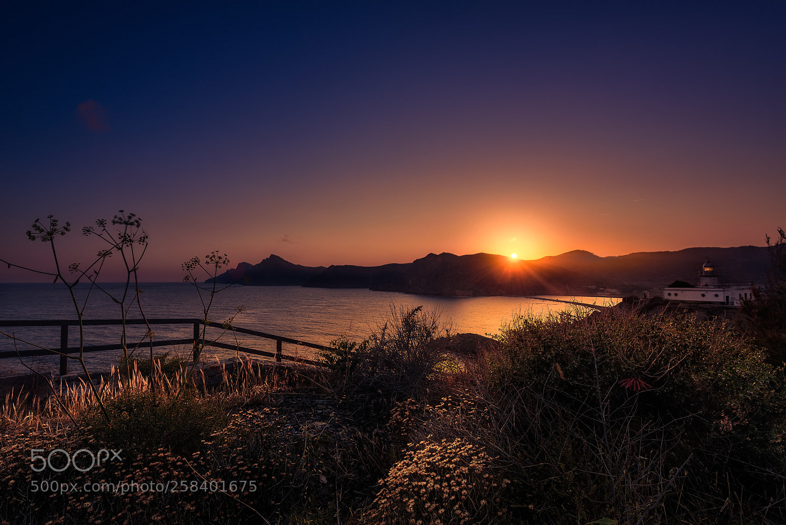 Nikon D810 sample photo. Spring from the lighthouse photography