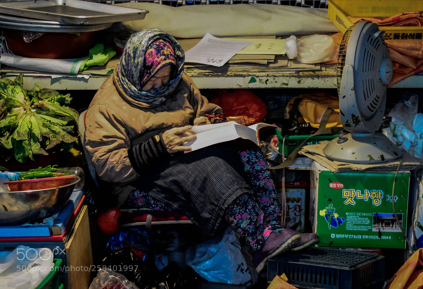 Nikon D90 sample photo. Woman reading photography