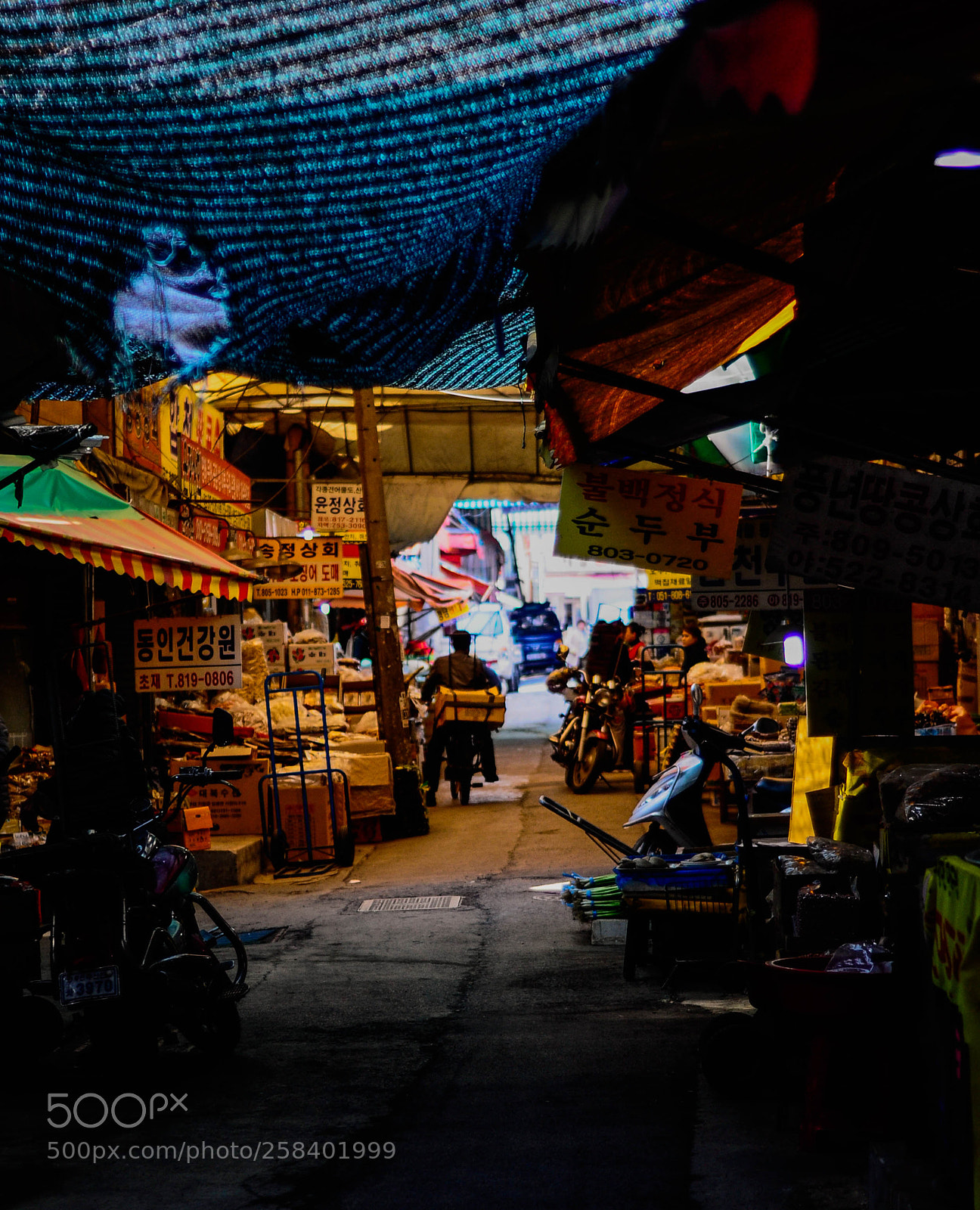 Nikon D90 sample photo. Market in busan photography