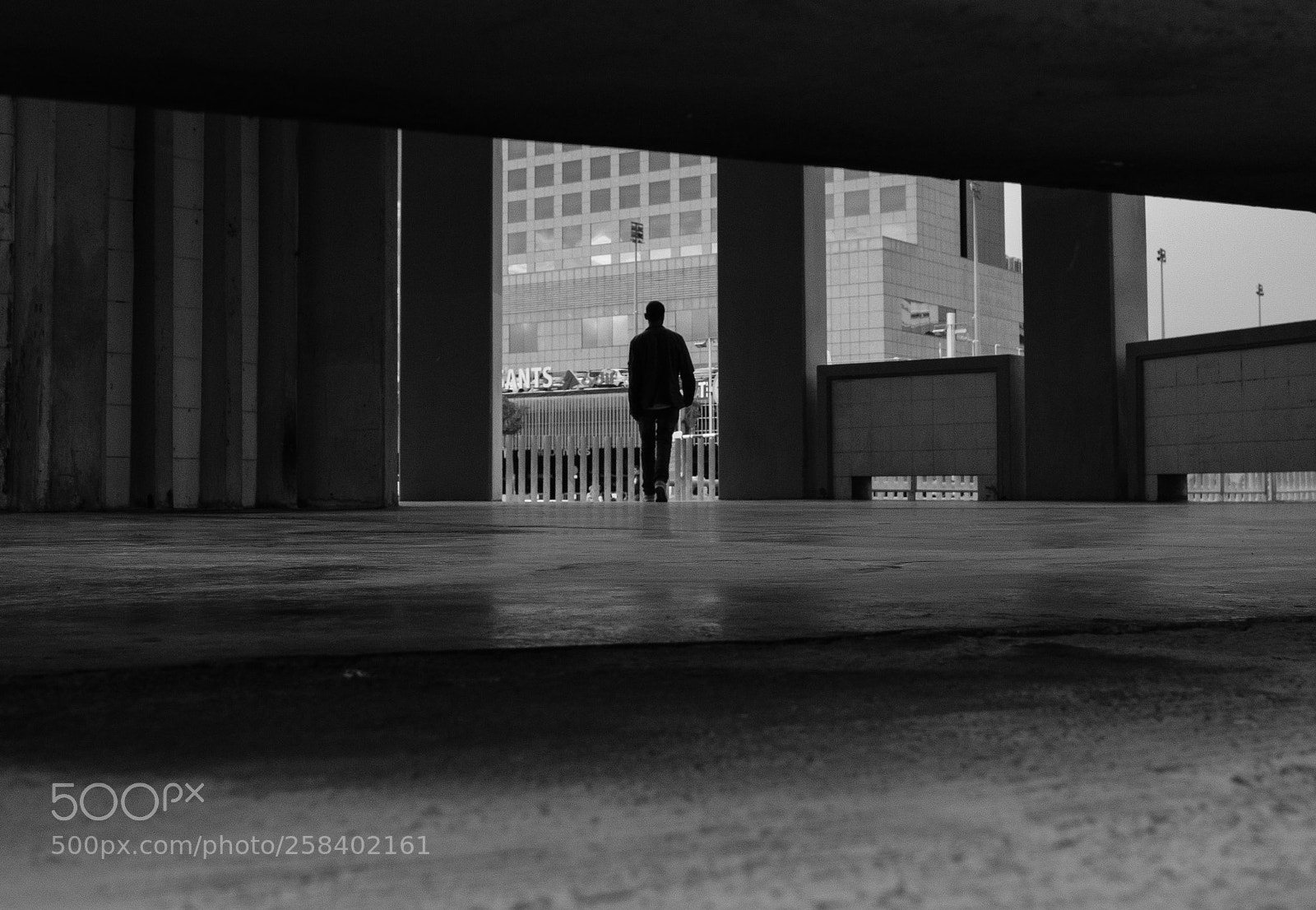 Fujifilm X-T20 sample photo. Untitled photography