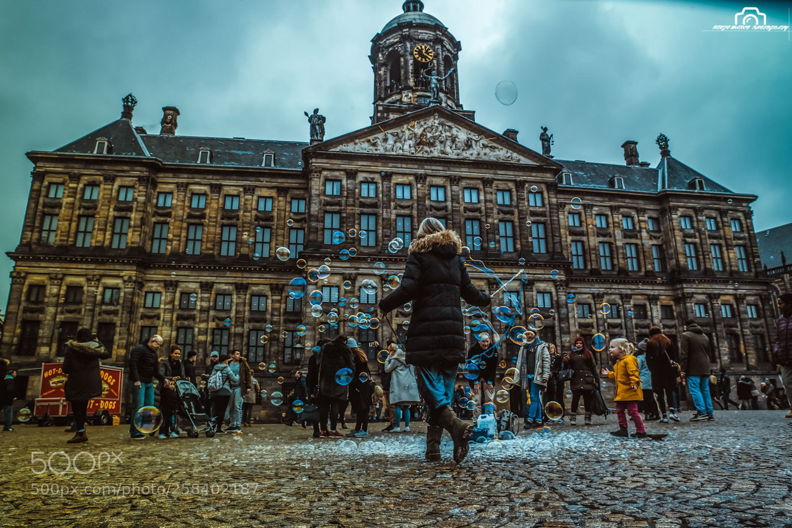 Sony a7 II sample photo. Untitled photography