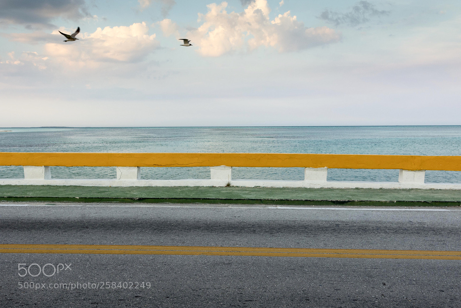 Nikon D7200 sample photo. On the bridge photography