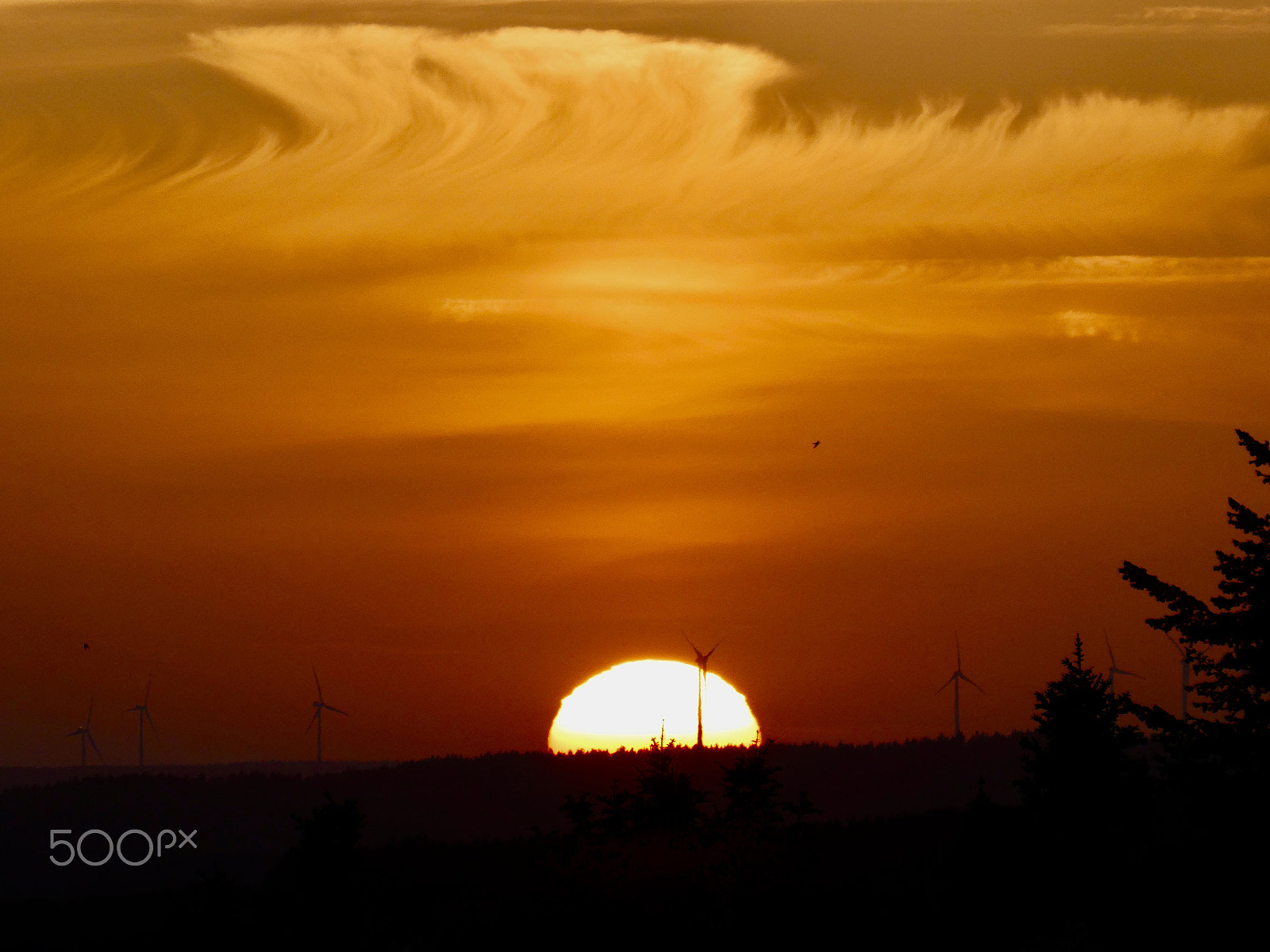 Panasonic DC-TZ91 sample photo. Sundowner photography