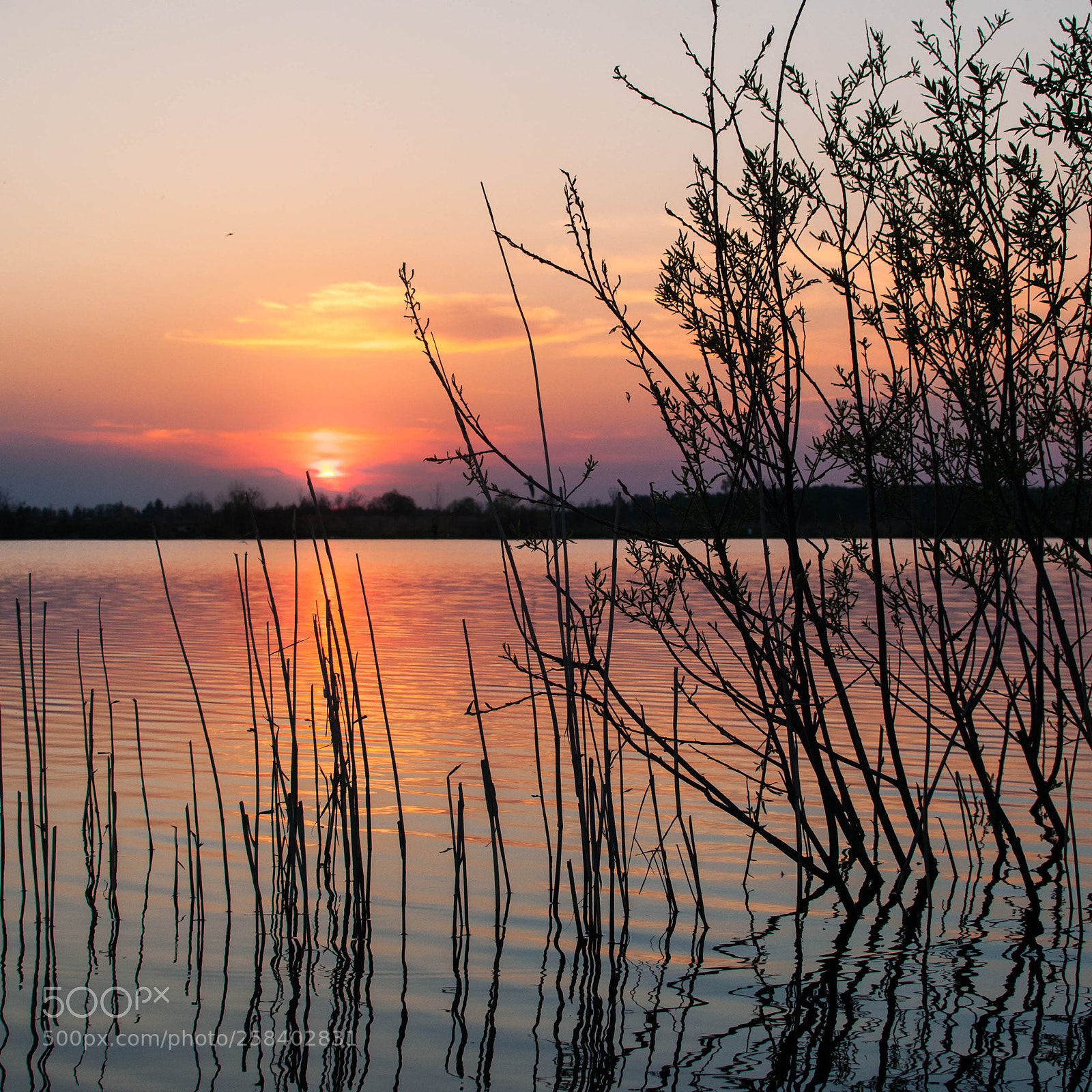 Nikon D5000 sample photo. Untitled photography