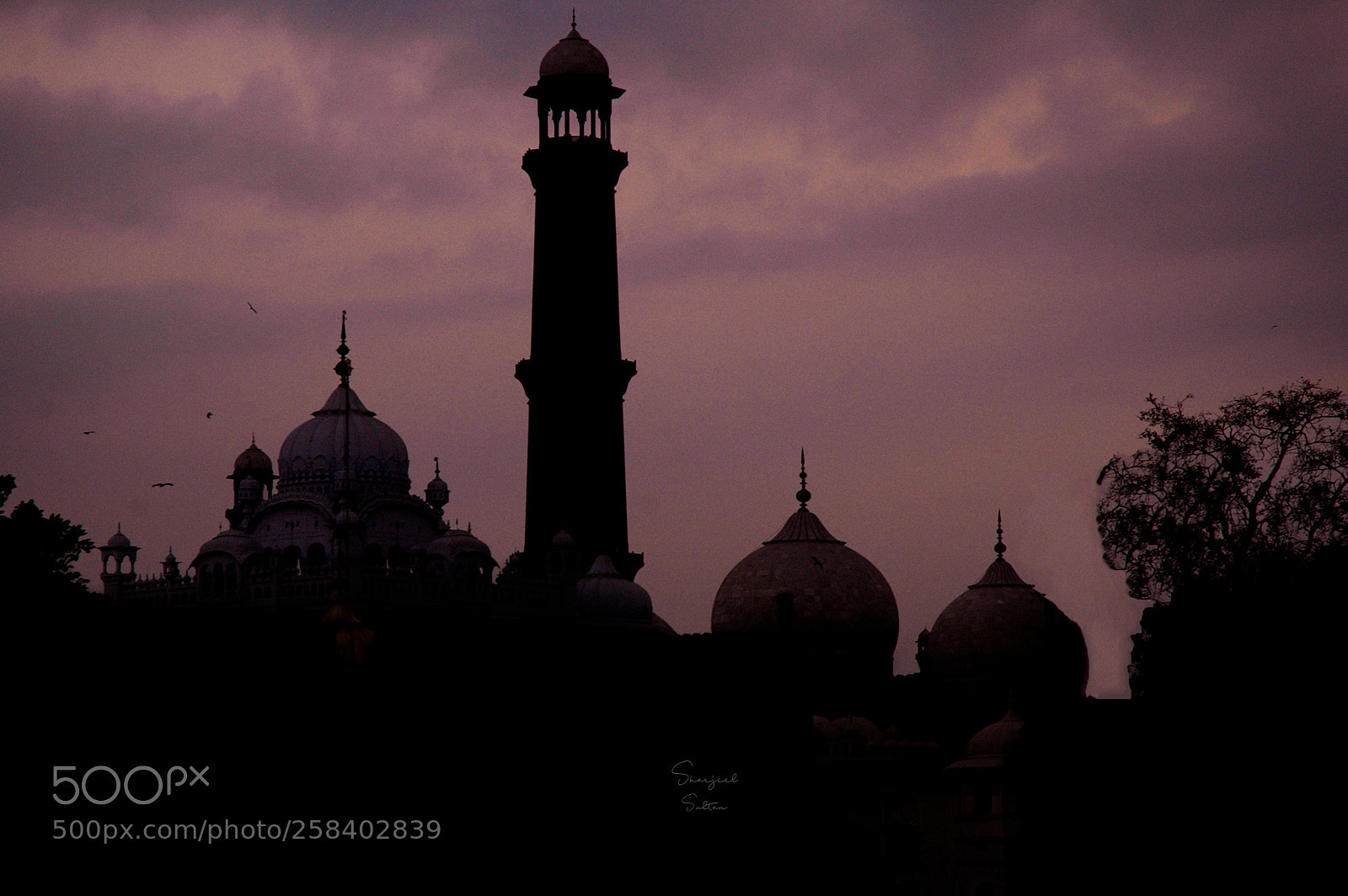 Nikon D70 sample photo. Mosque silhouette photography