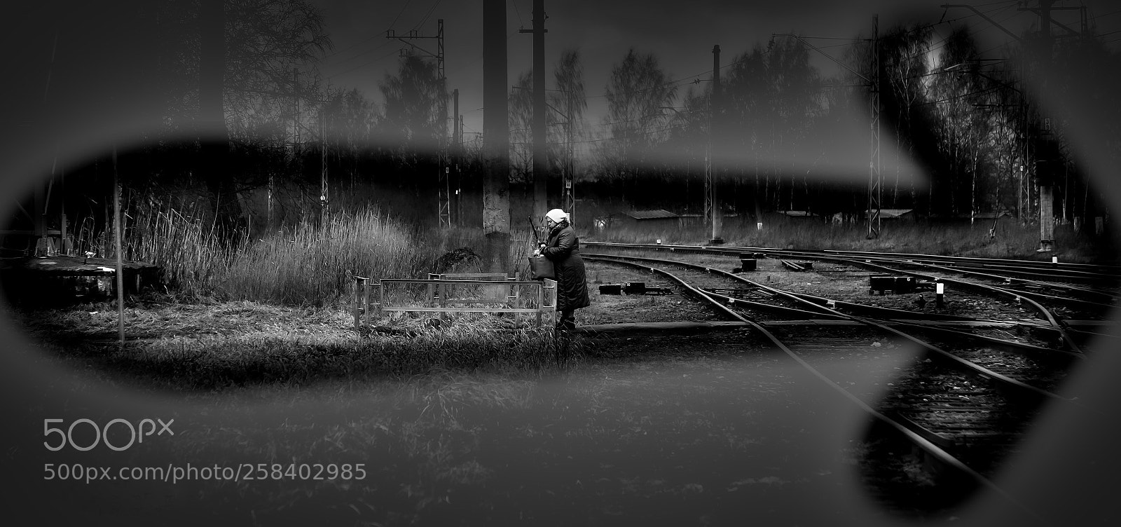 Canon EOS-1D X sample photo. Railway crossing ... photography