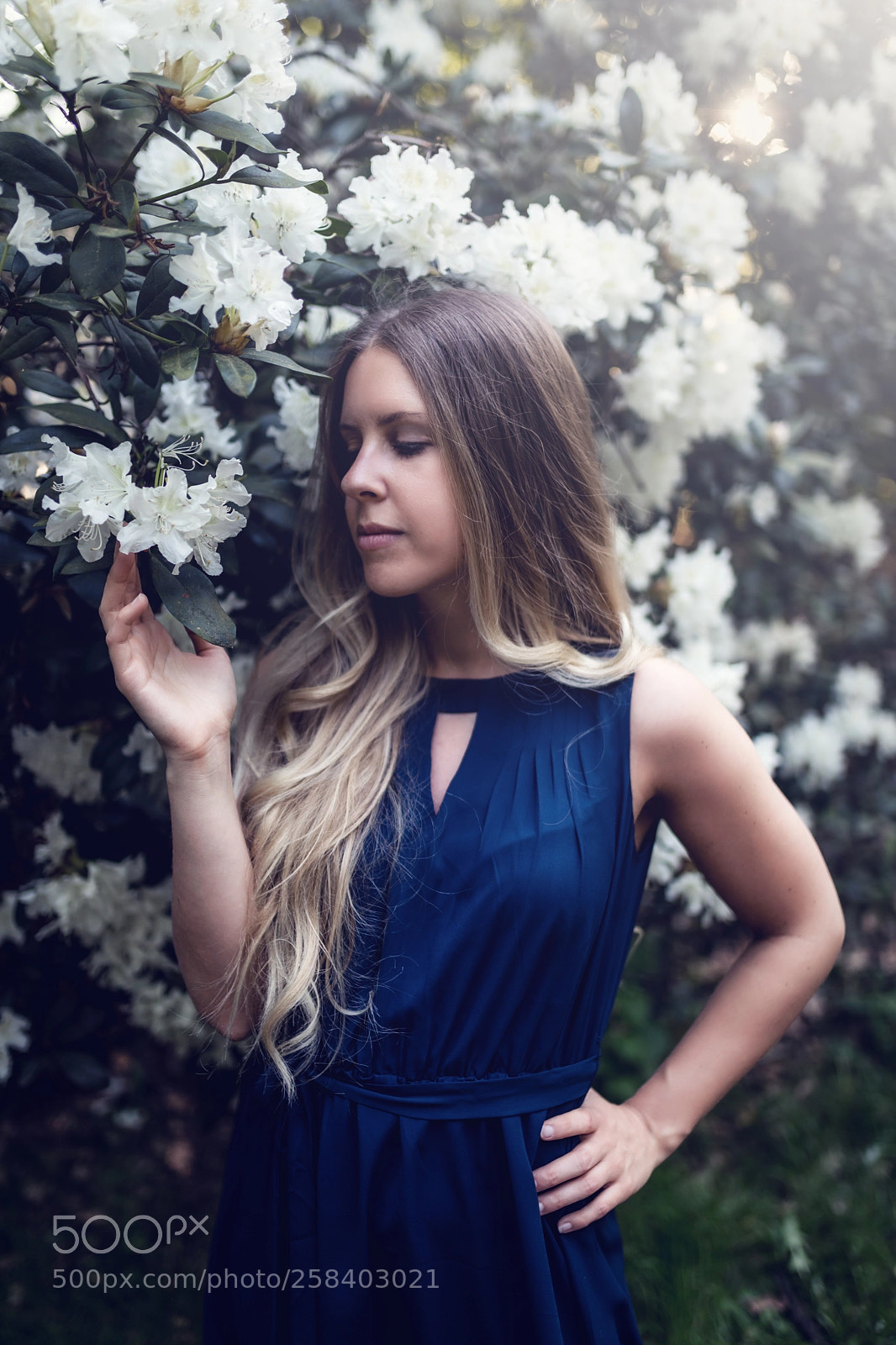 Canon EOS 5D Mark IV sample photo. Isabelle in den blumen photography