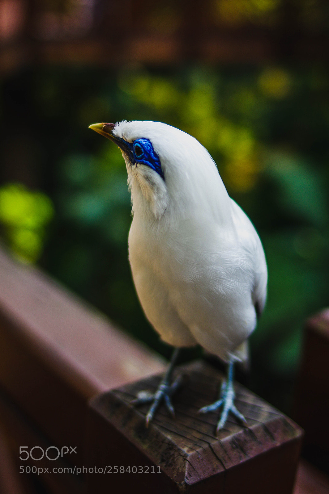 Pentax K-3 sample photo. Hong kong, edward youde photography
