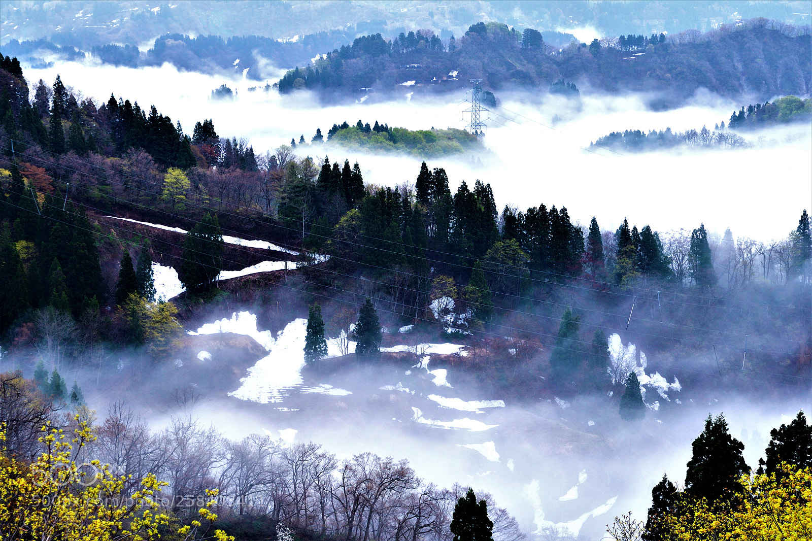 Nikon D500 sample photo. 幻霧 photography