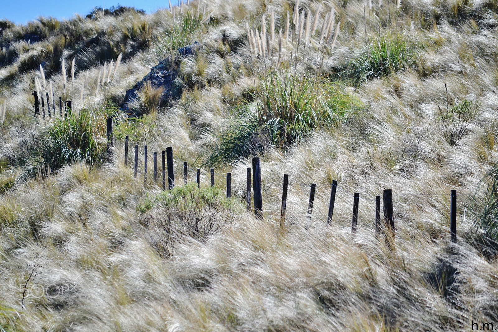Nikon D3100 sample photo. El cerco photography