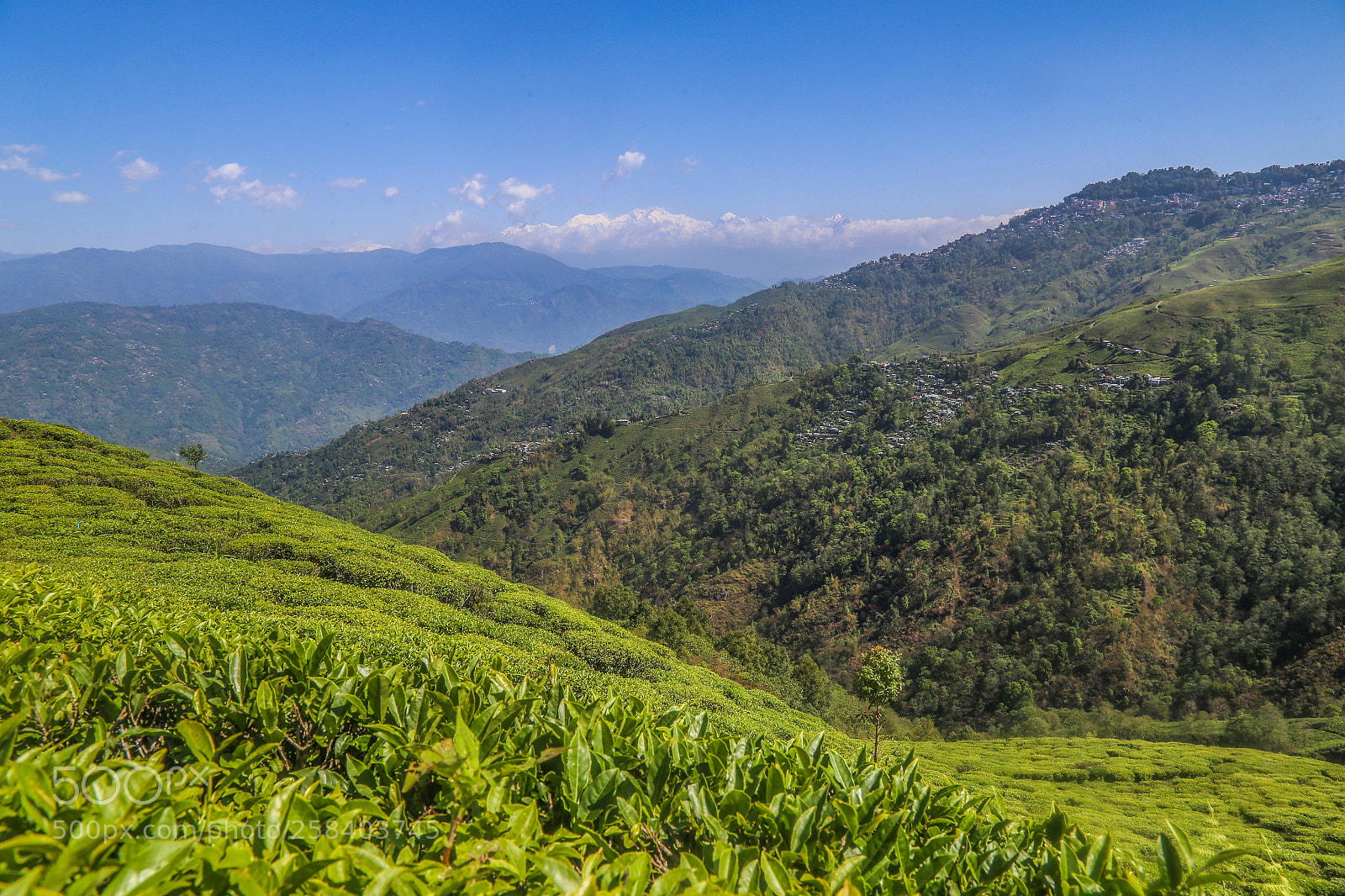 Canon EOS 6D sample photo. Beautiful darjeeling photography