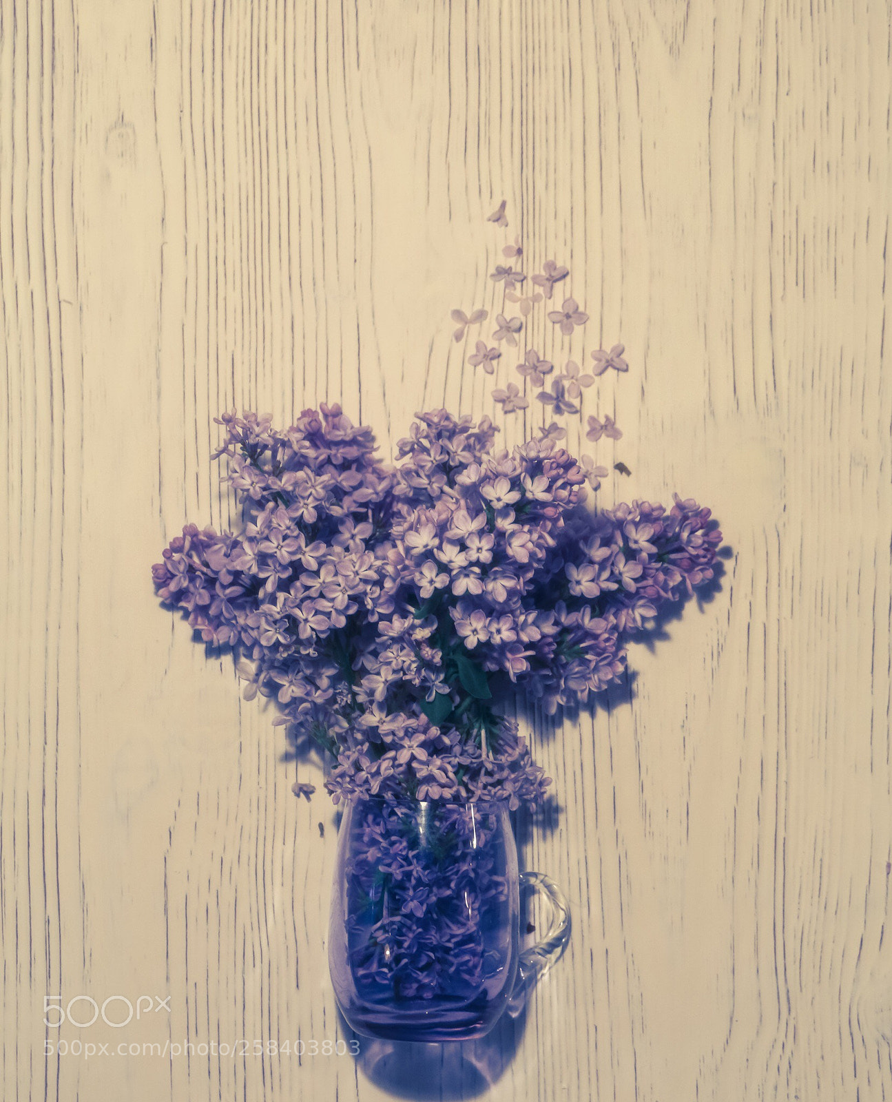 Canon EOS 6D sample photo. Lilac time. photography