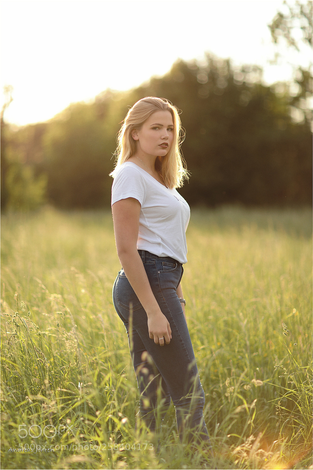 Canon EOS 5D Mark IV sample photo. In the sun... photography