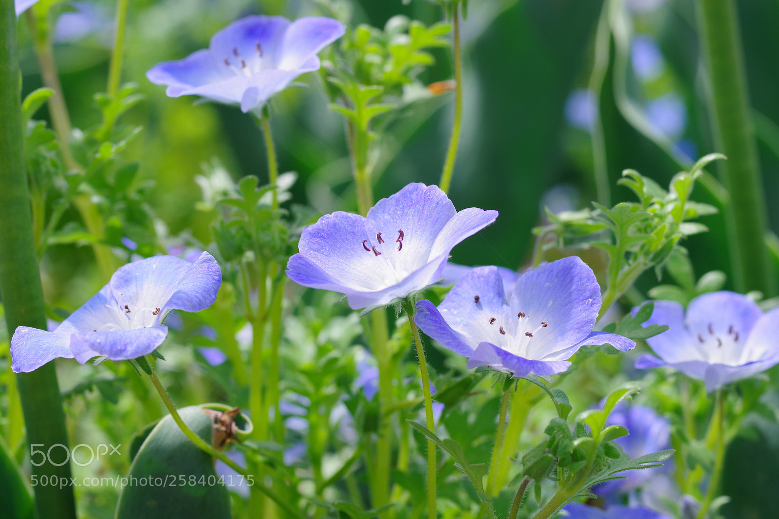 Pentax K-70 sample photo. Untitled photography