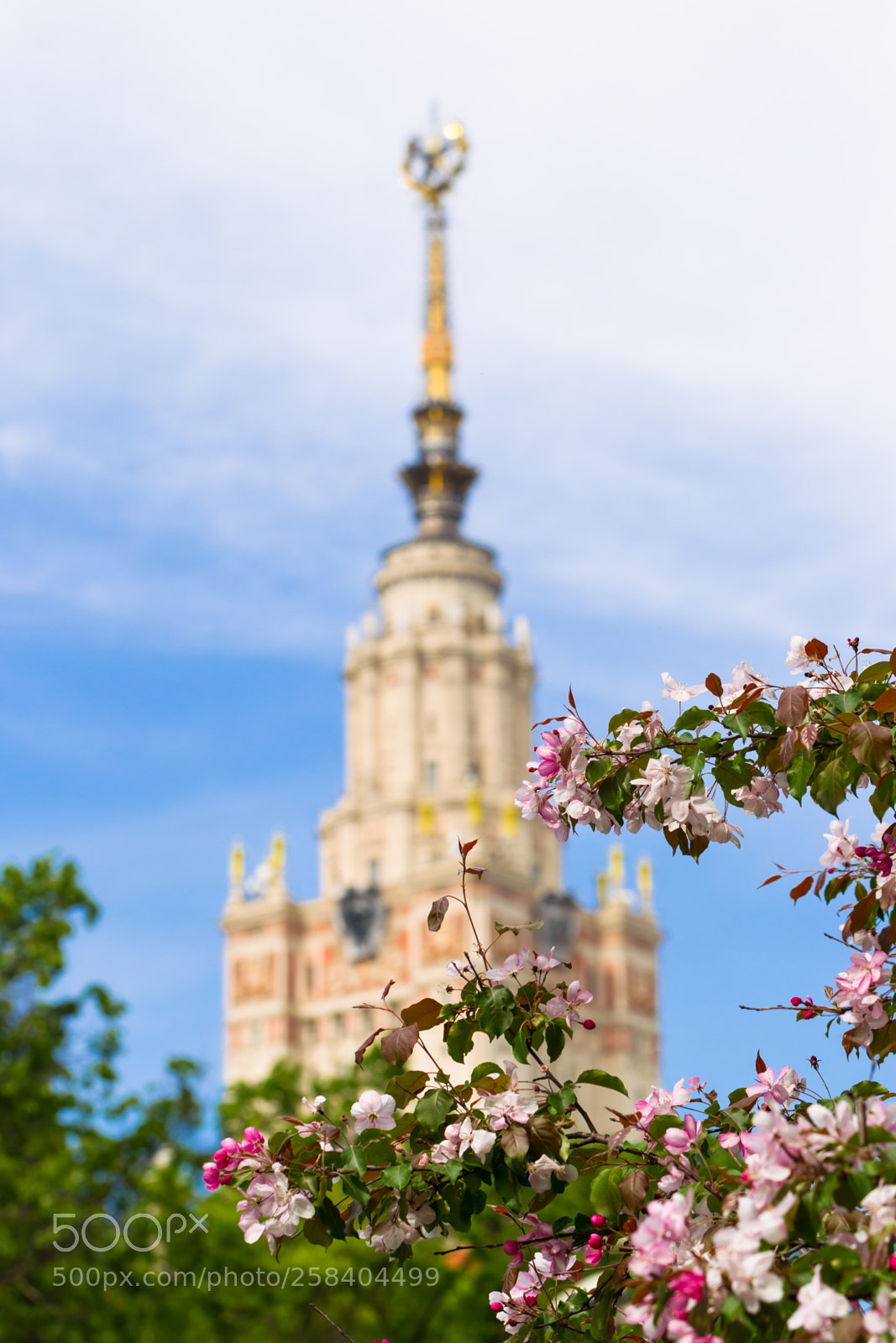 Canon EOS-1D Mark IV sample photo. The spire of the photography