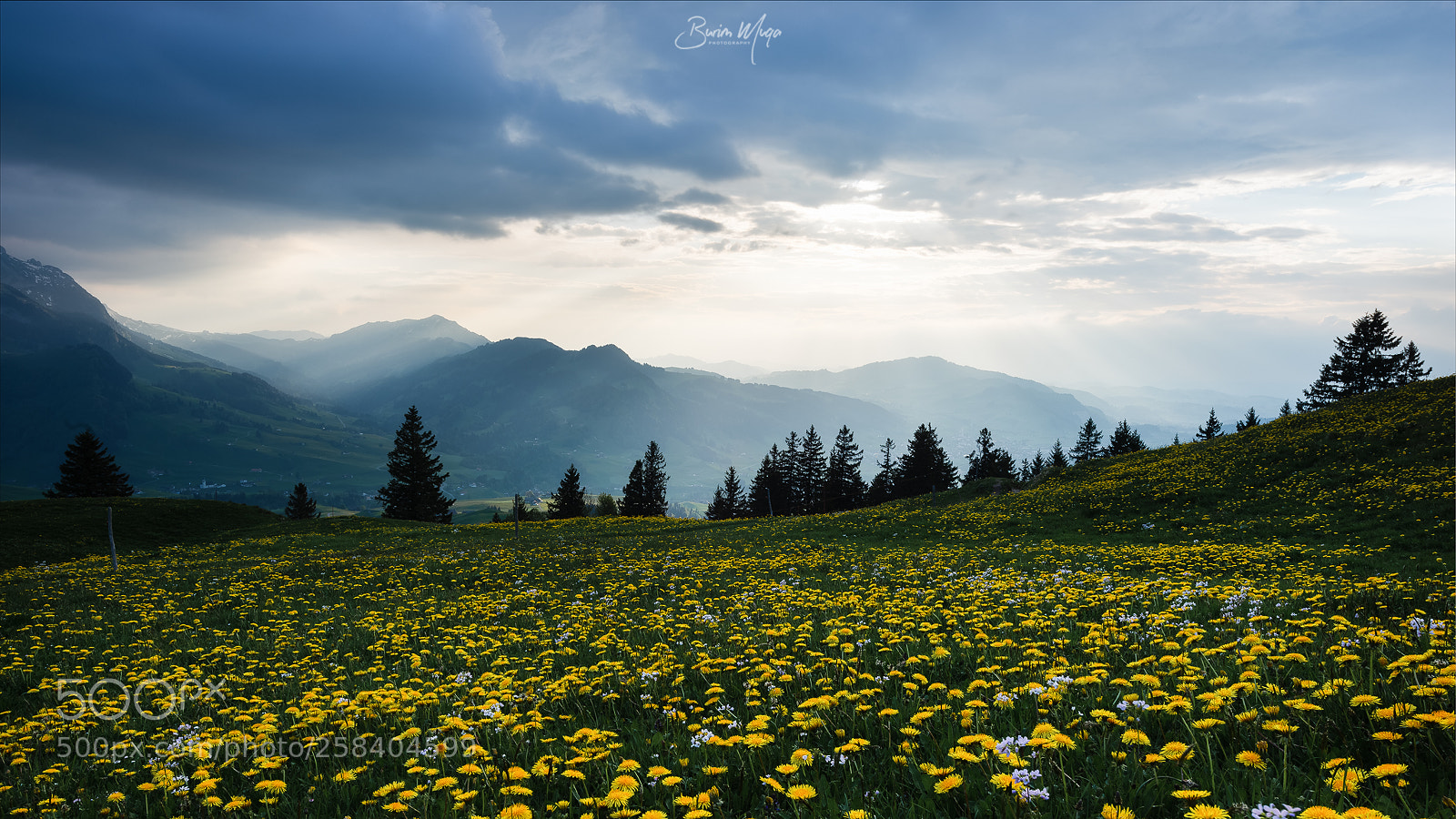 Nikon Df sample photo. Appenzell photography