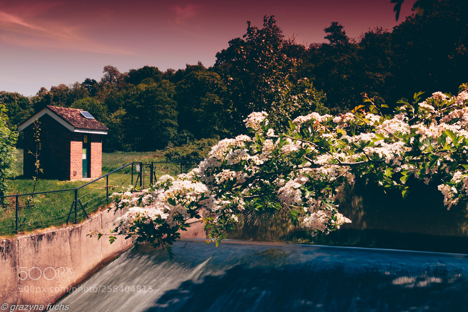 Nikon D3300 sample photo. Spring a lovely reminder photography