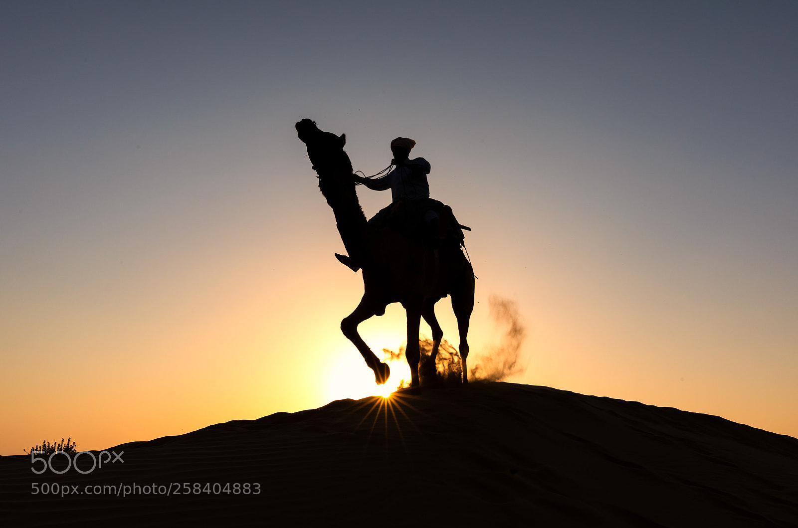 Canon EOS 5D Mark IV sample photo. Star rider photography