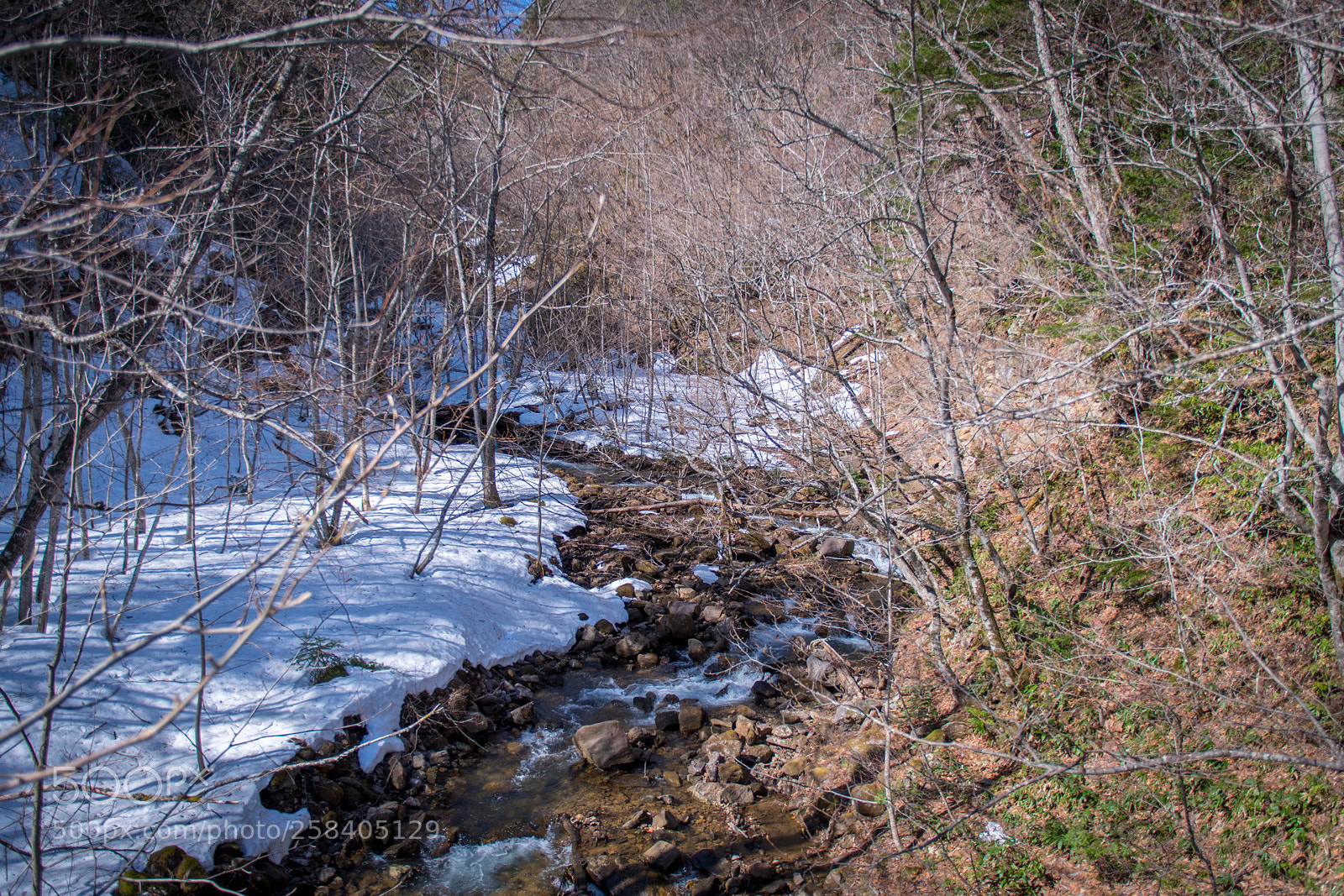 Nikon D500 sample photo. Oku-kinu onsen gou photography