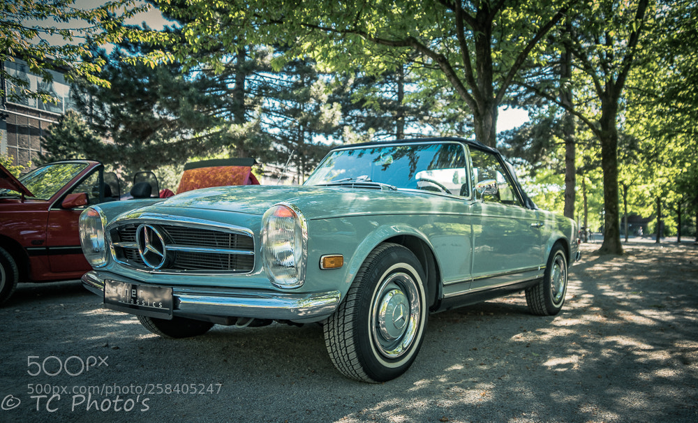 Sony ILCA-77M2 sample photo. _dsc7820-2.jpg photography
