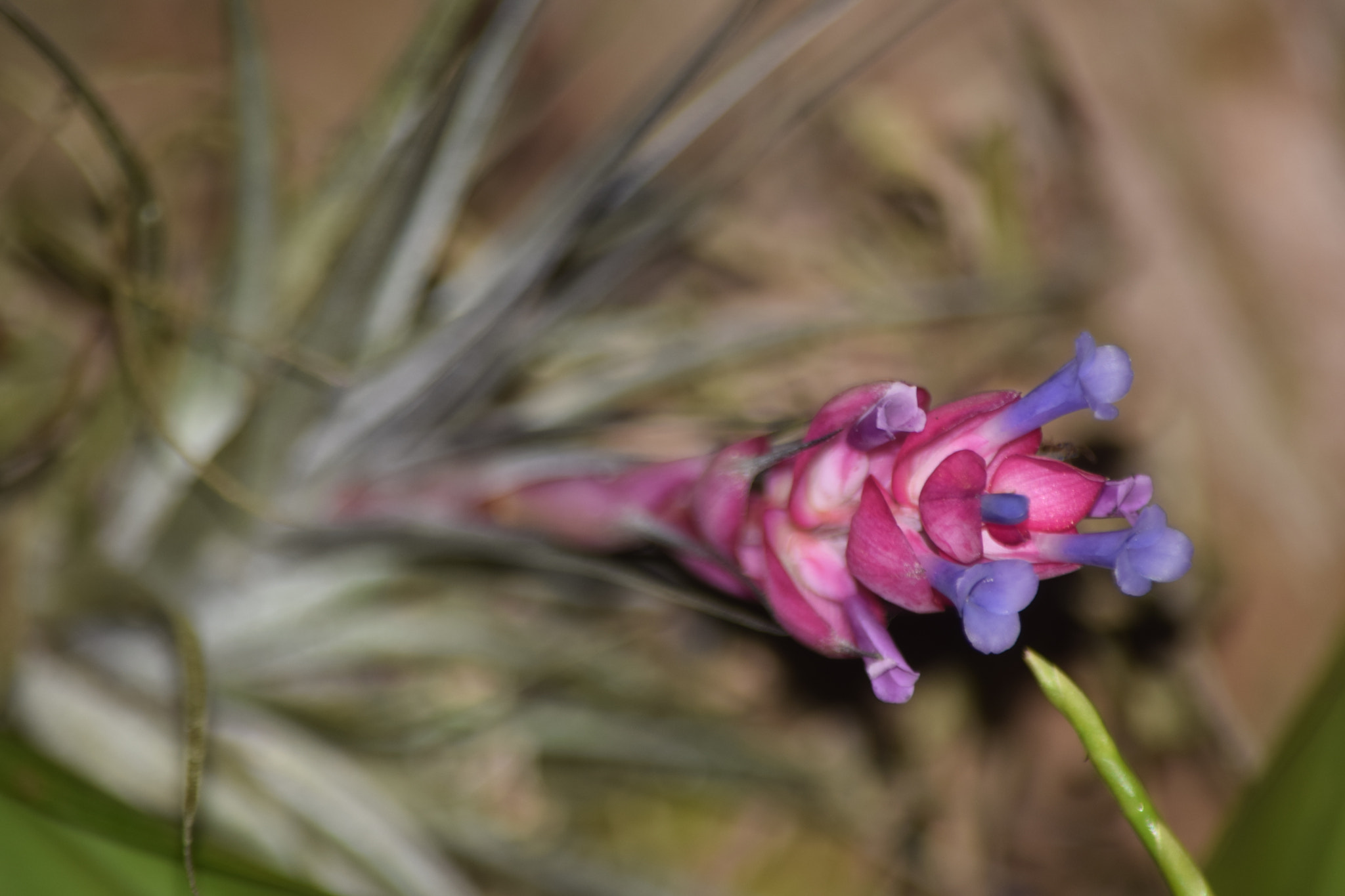 Nikon D5300 sample photo. Nice... photography