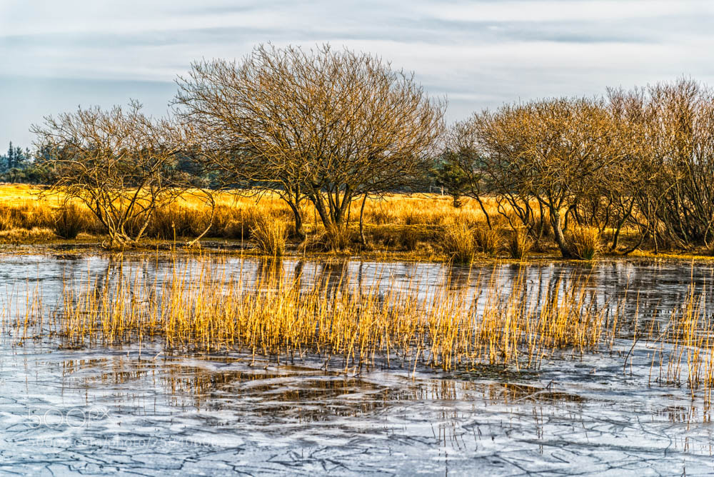 Nikon D750 sample photo. Edit photography