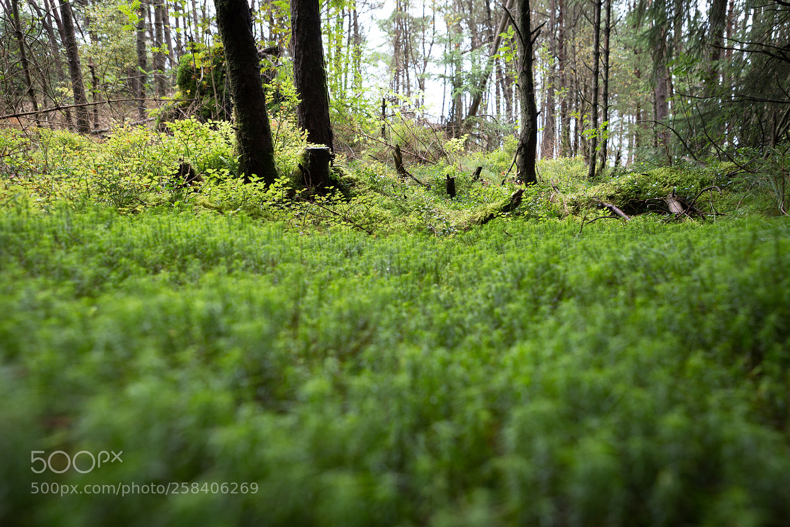 Canon EOS 6D sample photo. Tierra de vikingos photography