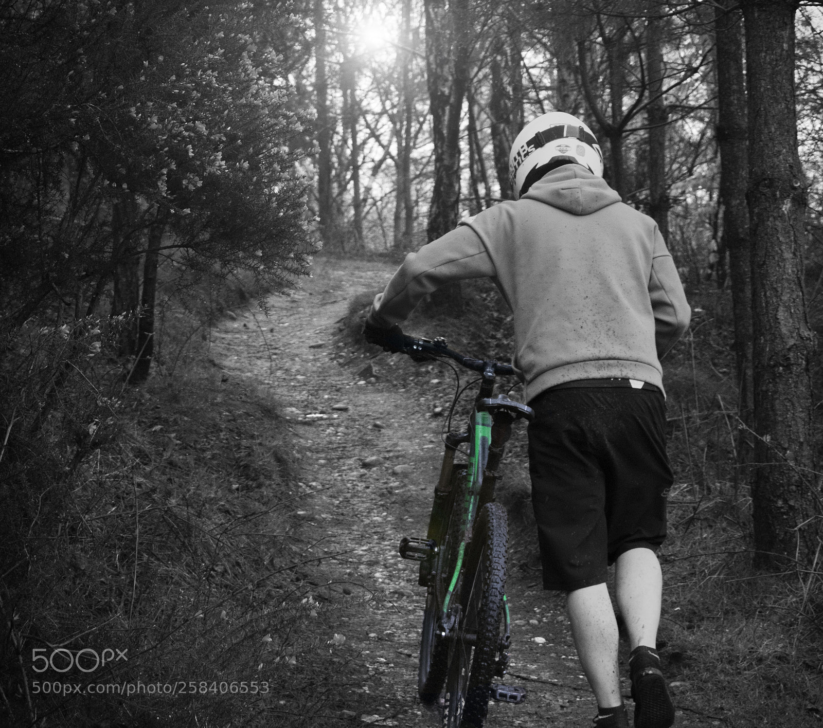 Nikon D3300 sample photo. Follow the path photography