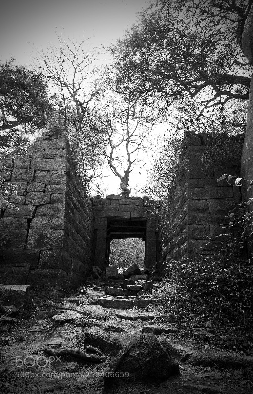 Canon EOS 70D sample photo. Ruins of a fortress photography