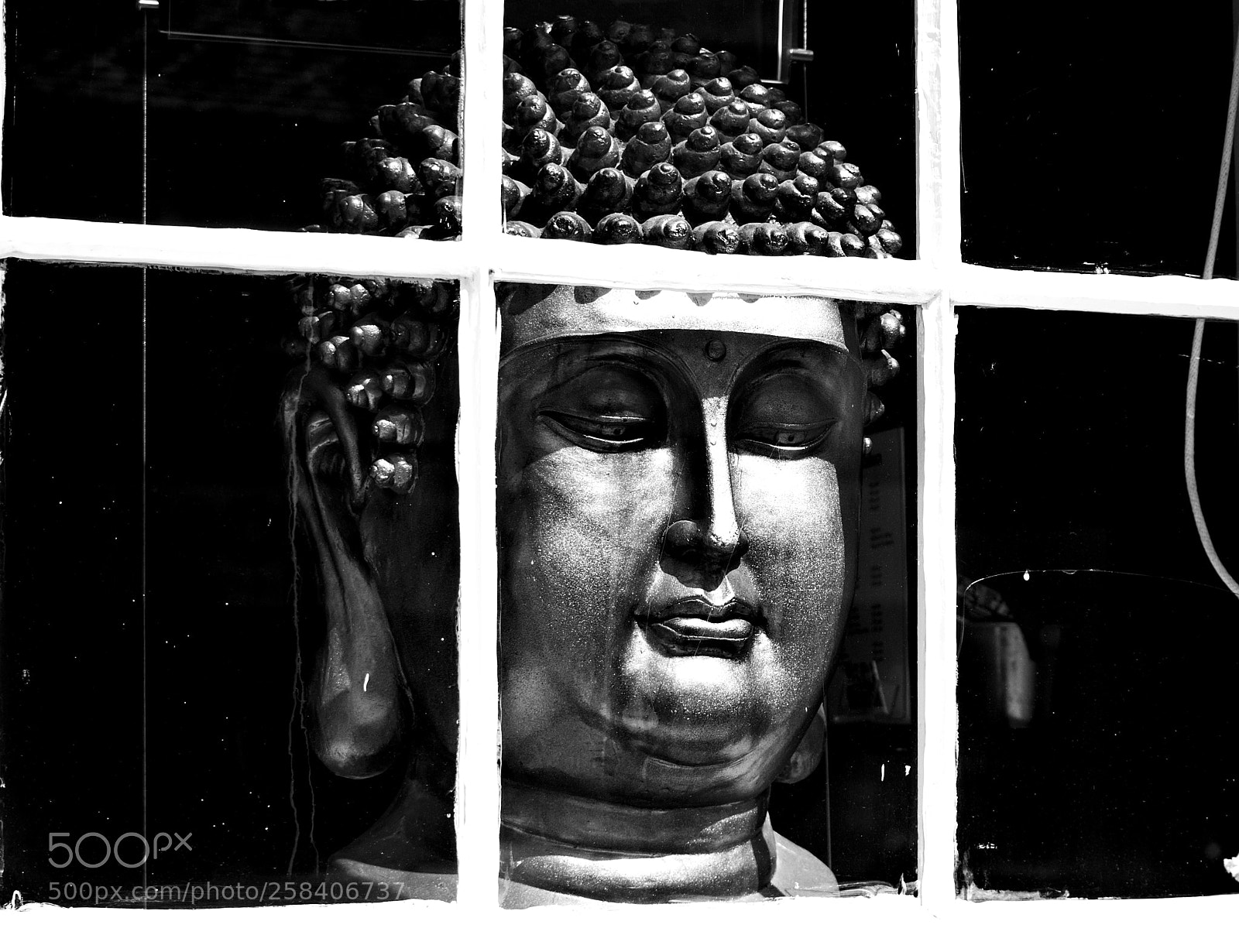 Nikon D3100 sample photo. Contemplation photography