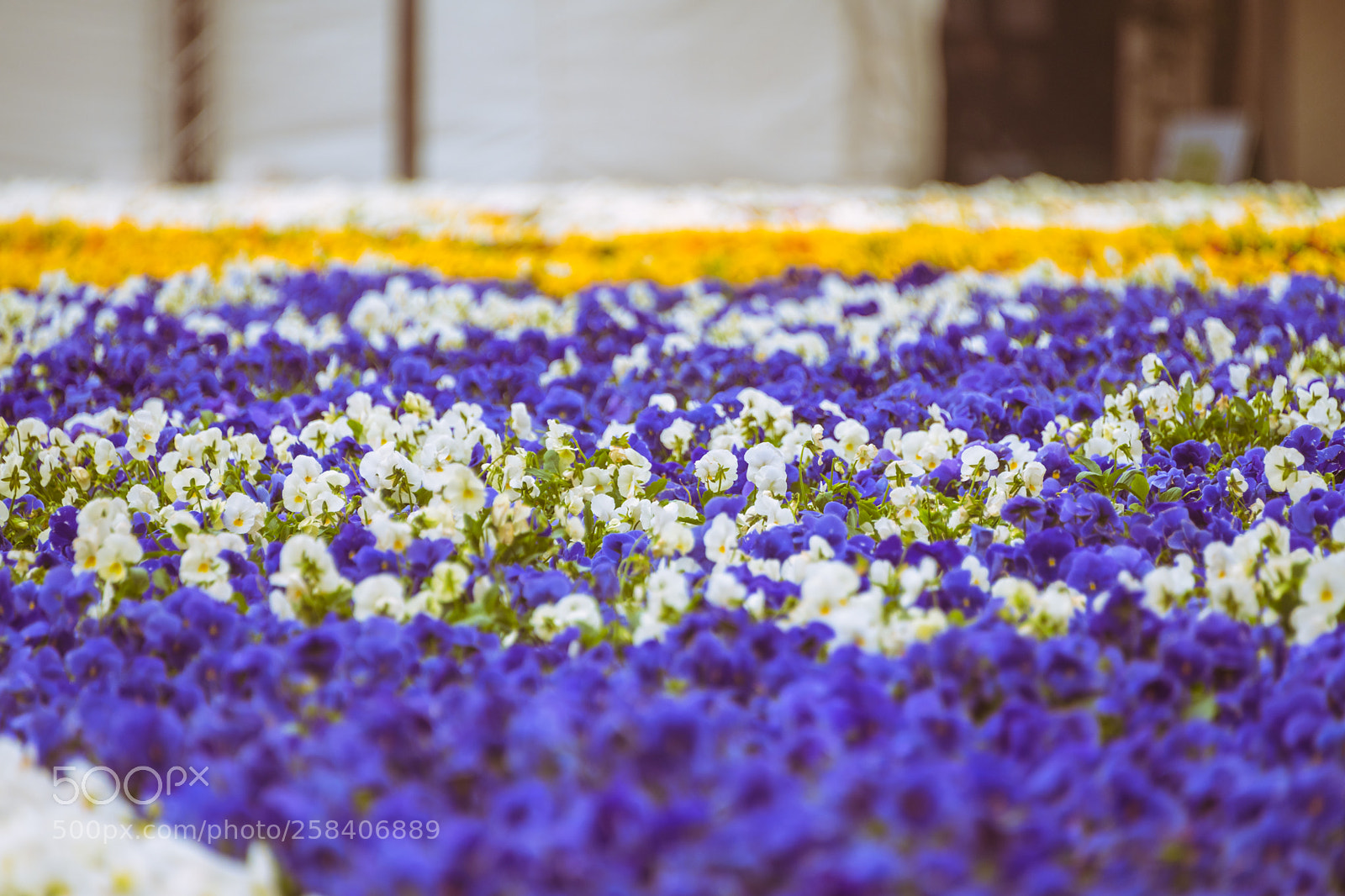 Nikon D850 sample photo. Malta nikon full photography