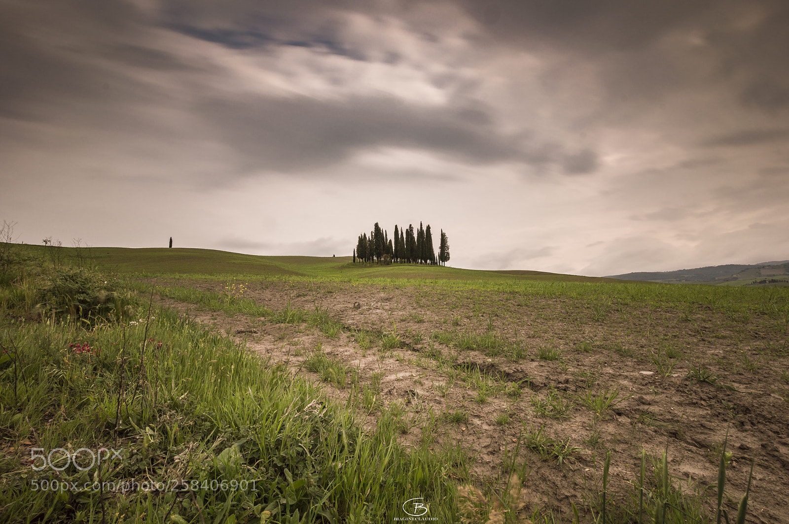 Nikon D3200 sample photo. I cipressi pi famosi photography