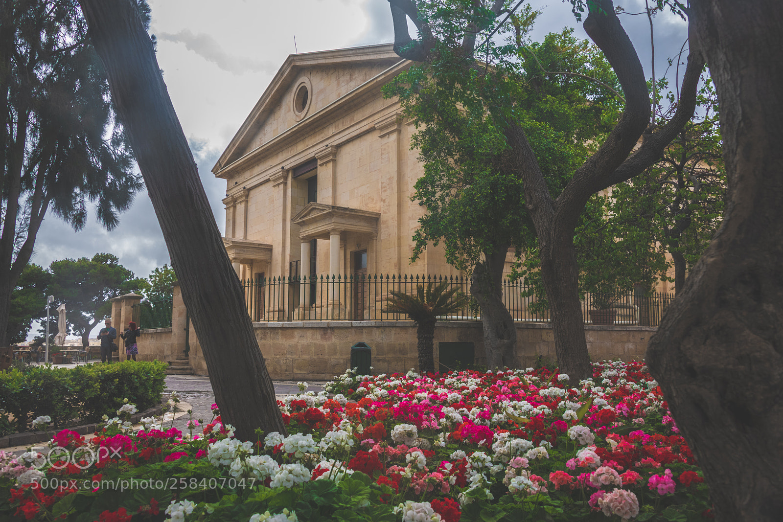 Nikon D850 sample photo. Malta nikon full photography