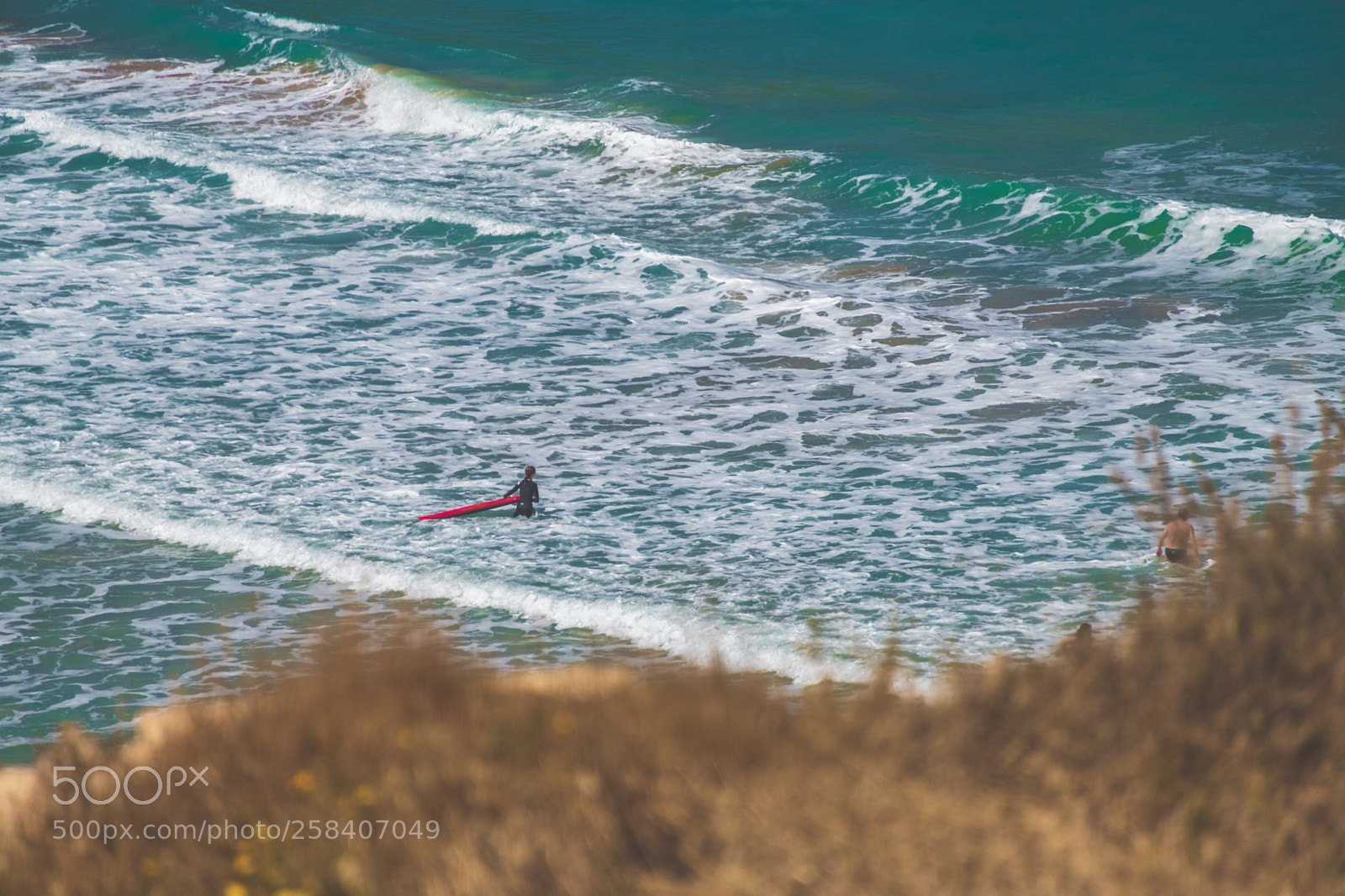Nikon D850 sample photo. Malta nikon full photography
