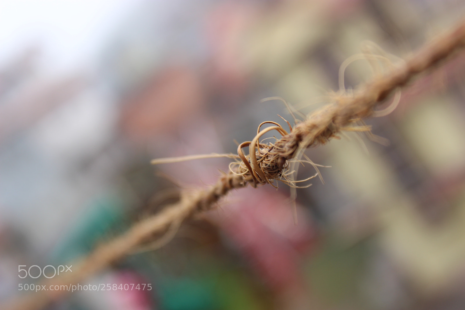 Canon EOS 600D (Rebel EOS T3i / EOS Kiss X5) sample photo. The edging rope photography