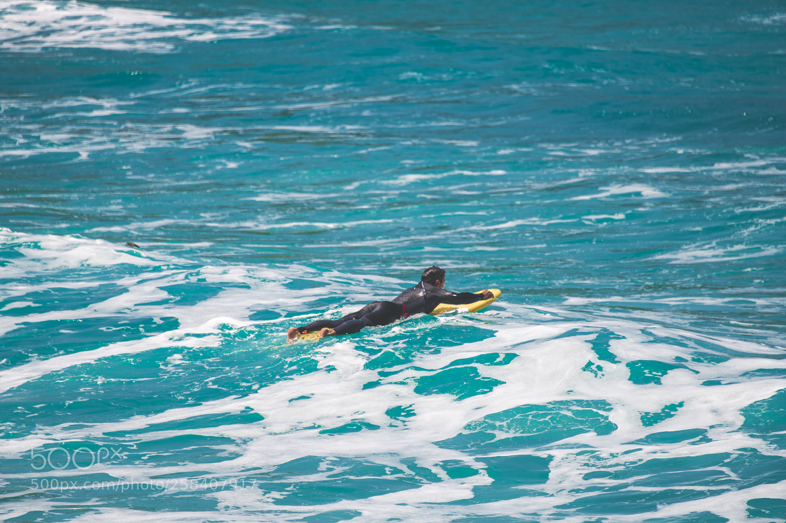 Nikon D850 sample photo. Malta nikon full photography