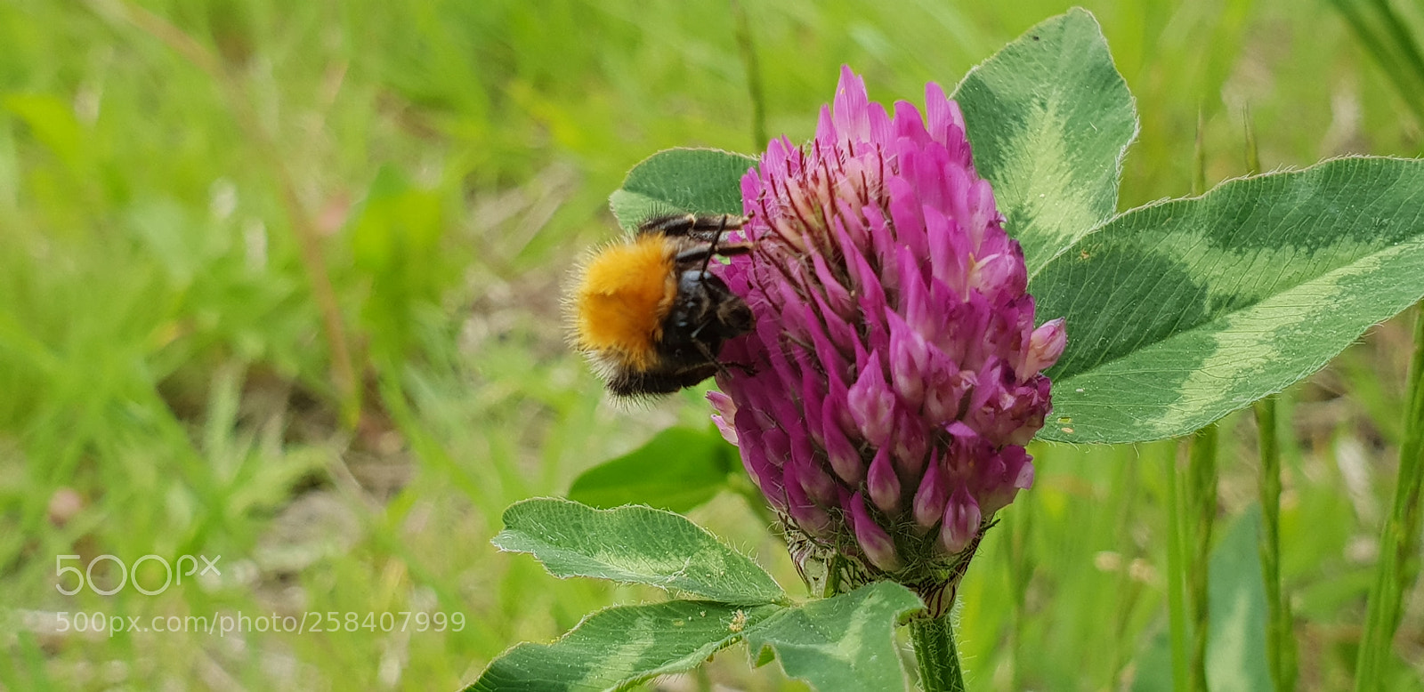Samsung Galaxy S9+ sample photo. Untitled photography