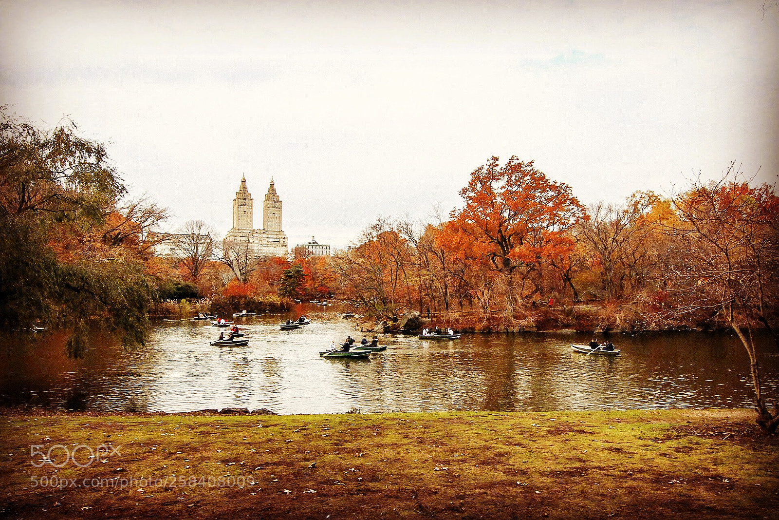 Canon EOS 80D sample photo. Central park is stunning photography