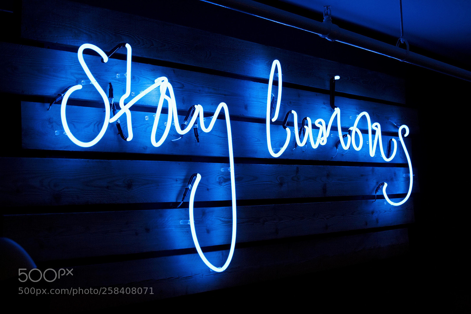Canon EOS 5D sample photo. Stay curious night photography photography