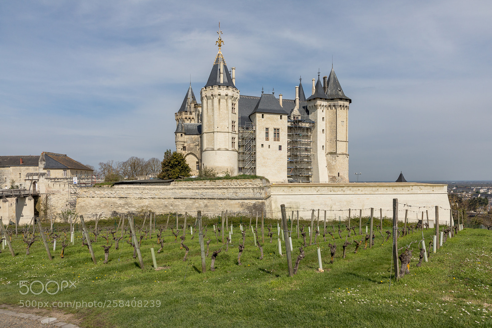 Canon EOS 5D Mark IV sample photo. Wonderful chateau de saumur photography