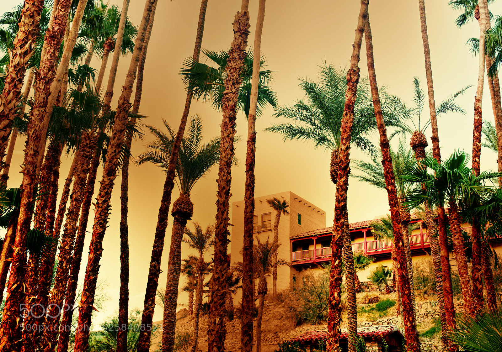 Nikon D810 sample photo. Inn at furnace creek photography