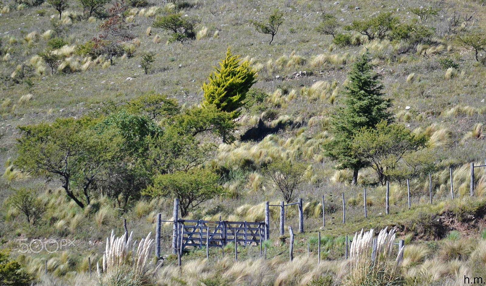 Nikon D3100 sample photo. Sierras de cordoba photography