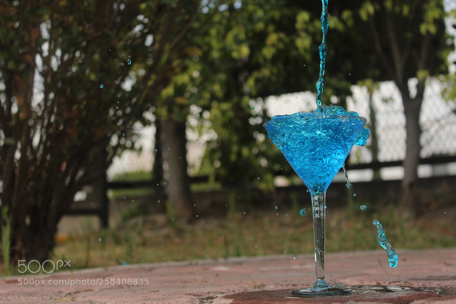 Canon EOS 1200D (EOS Rebel T5 / EOS Kiss X70 / EOS Hi) sample photo. Img photography