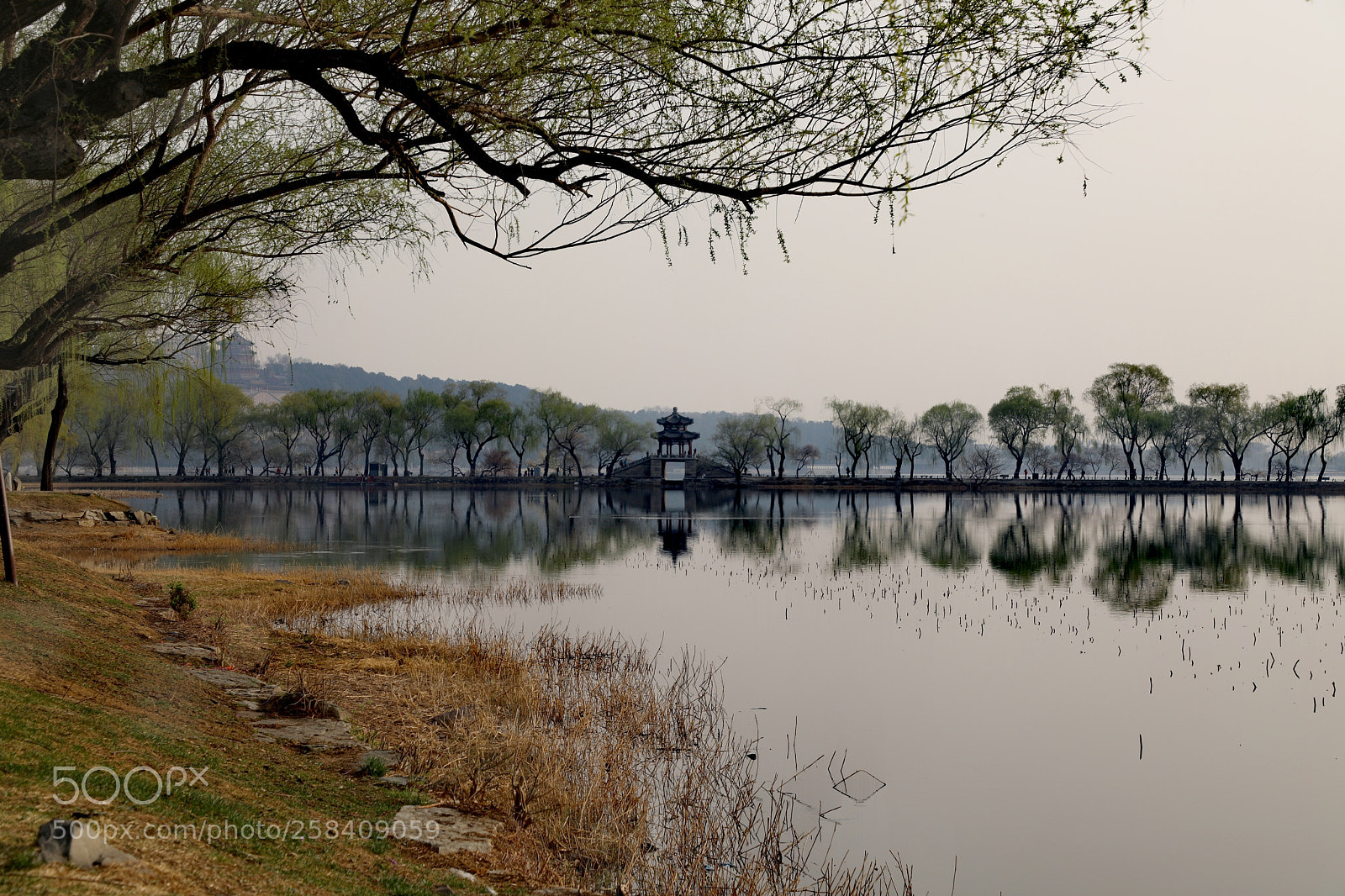 Canon EOS 5D Mark IV sample photo. Summer palace photography
