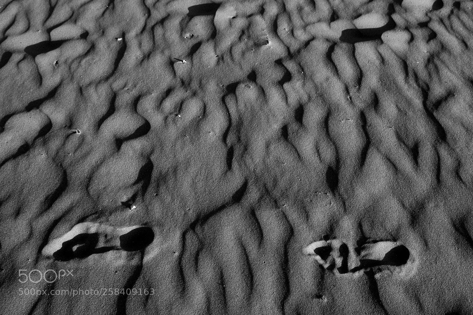 Canon EOS 5D Mark IV sample photo. Windy beach photography