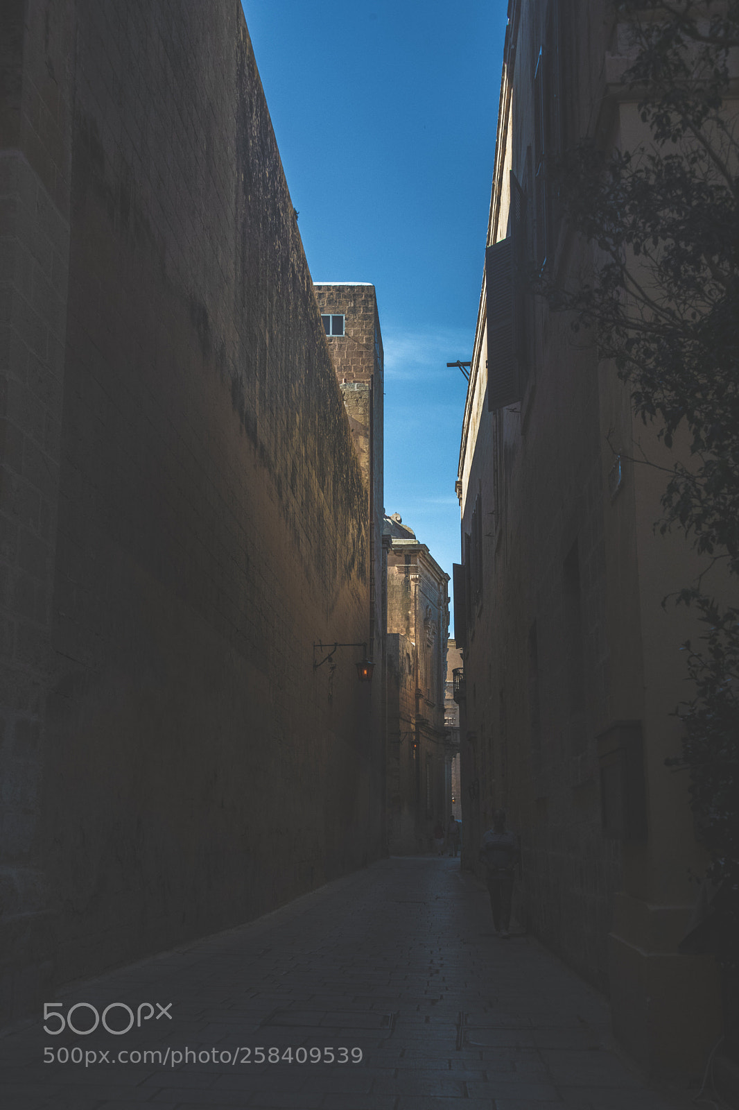 Nikon D850 sample photo. Malta nikon full photography