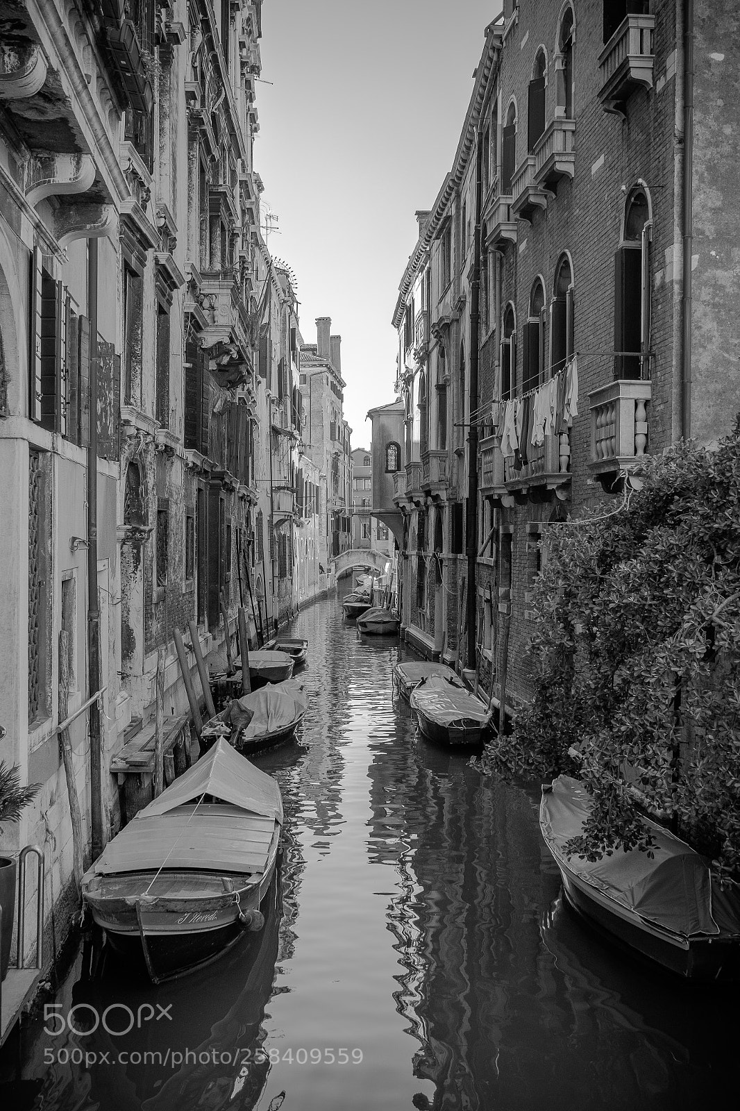 Fujifilm X-T10 sample photo. Venice bw photography