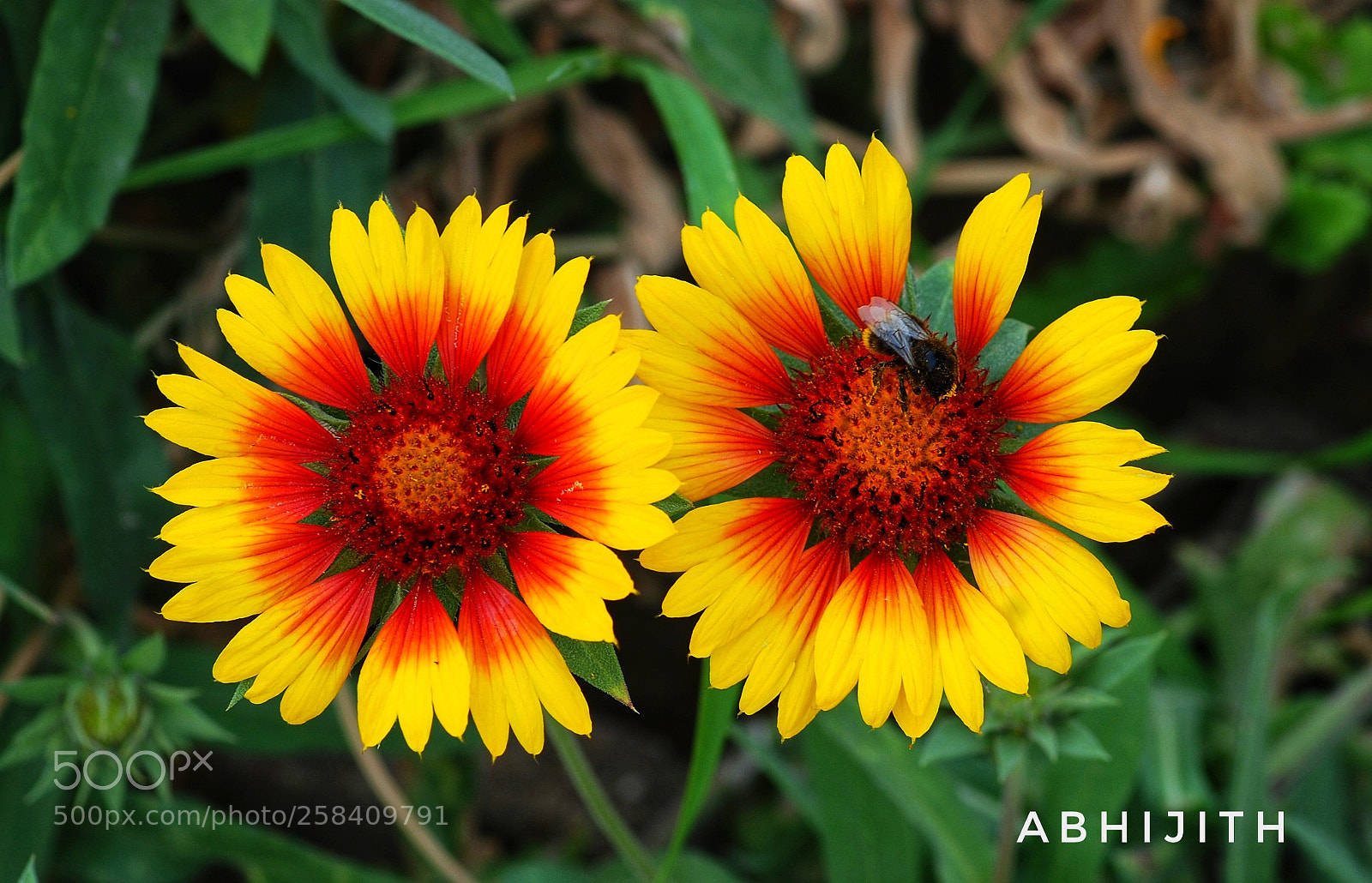 Nikon D80 sample photo. Untitled photography