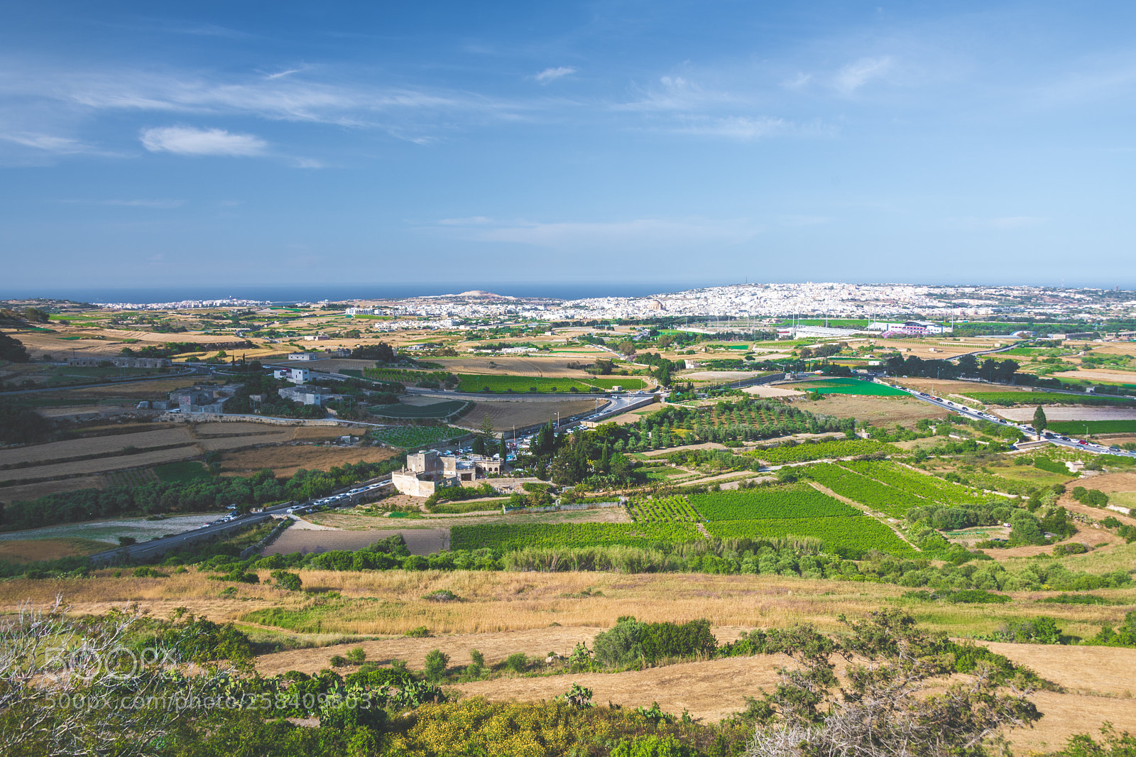 Nikon D850 sample photo. Malta nikon full photography